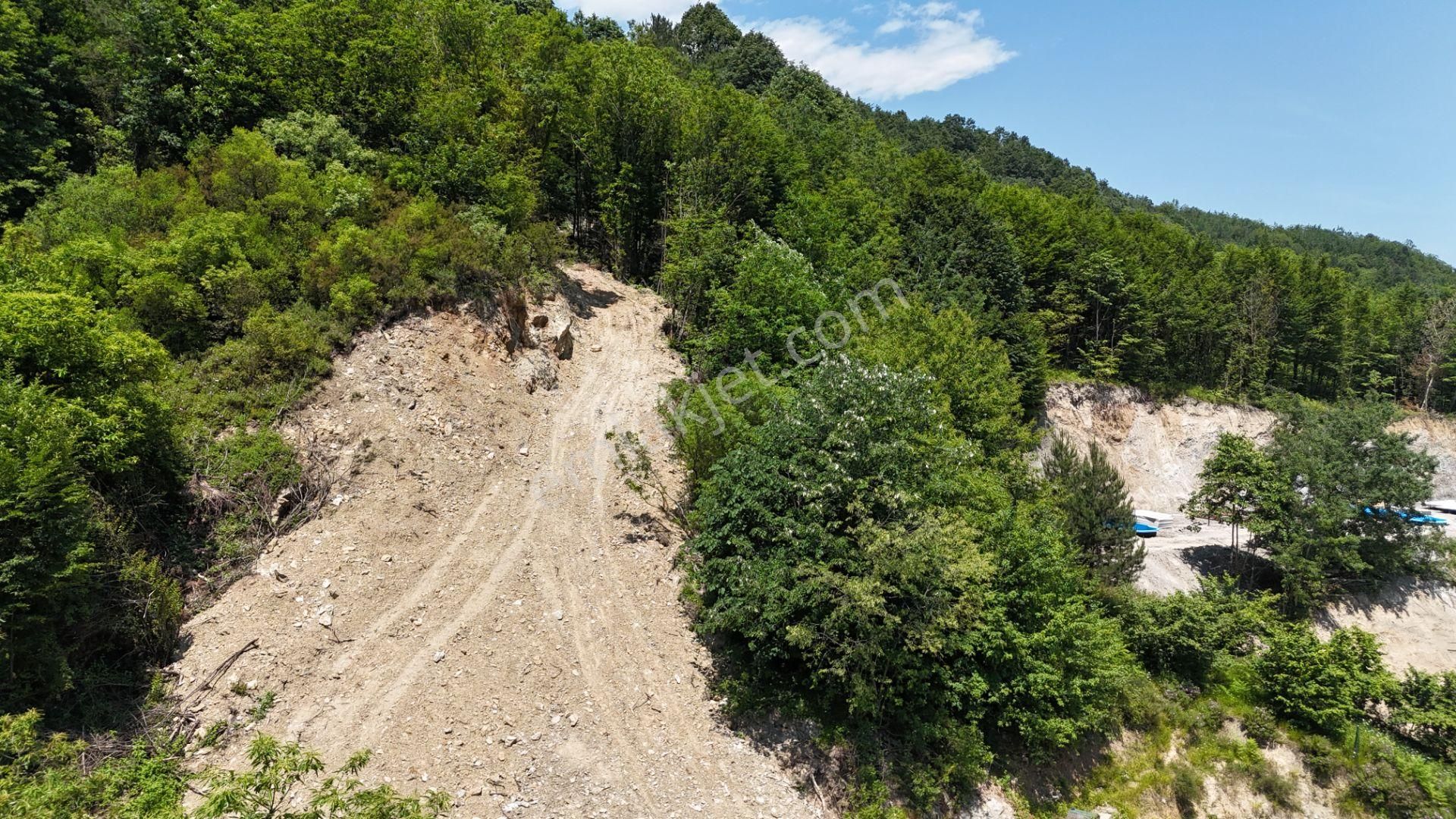 Sapanca Şükriye Mahallesinde Doğa İçinde Satılık 3.538 M2 Bahçe - Görsel 2