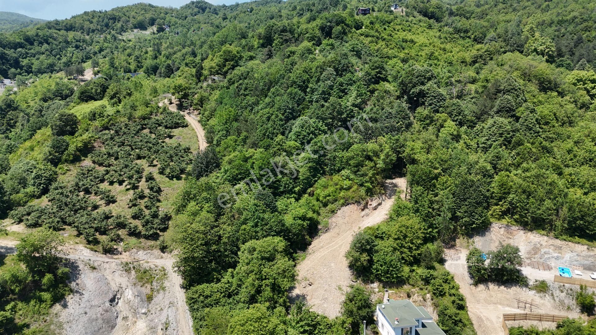 Sapanca Şükriye Mahallesinde Doğa İçinde Satılık 3.538 M2 Bahçe - Görsel 4