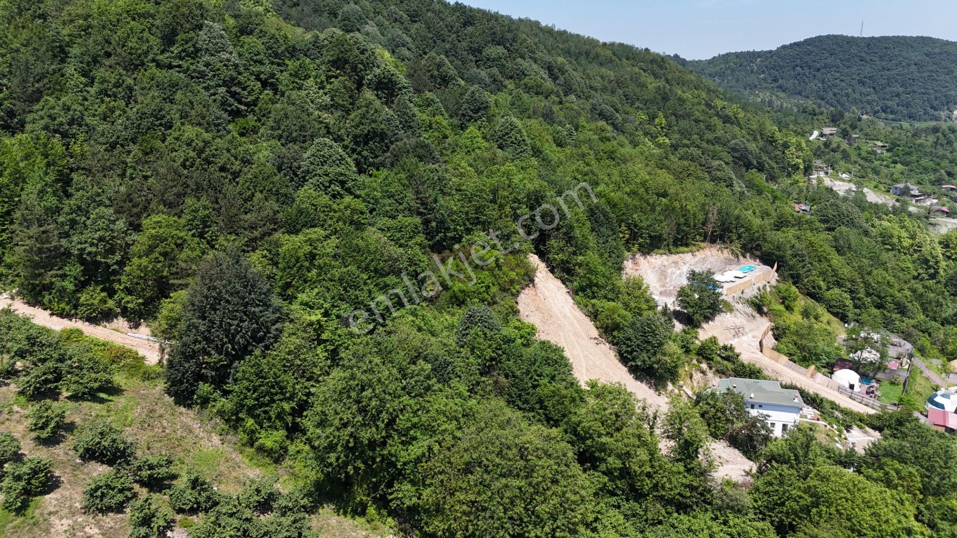 Sapanca Şükriye Mahallesinde Doğa İçinde Satılık 3.538 M2 Bahçe - Görsel 5