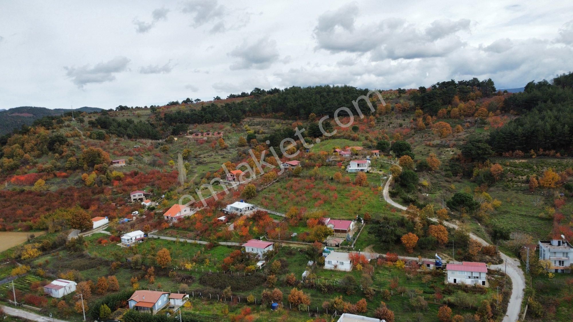 Bayındır Çınardibi Mah Süper Konumda Satılık 4+1 Taş Villa - Görsel 12