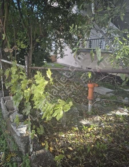 Dalaman Ege Mah.bahce Nizamli 3+1 Kapali Mutfak Daire - Görsel 15