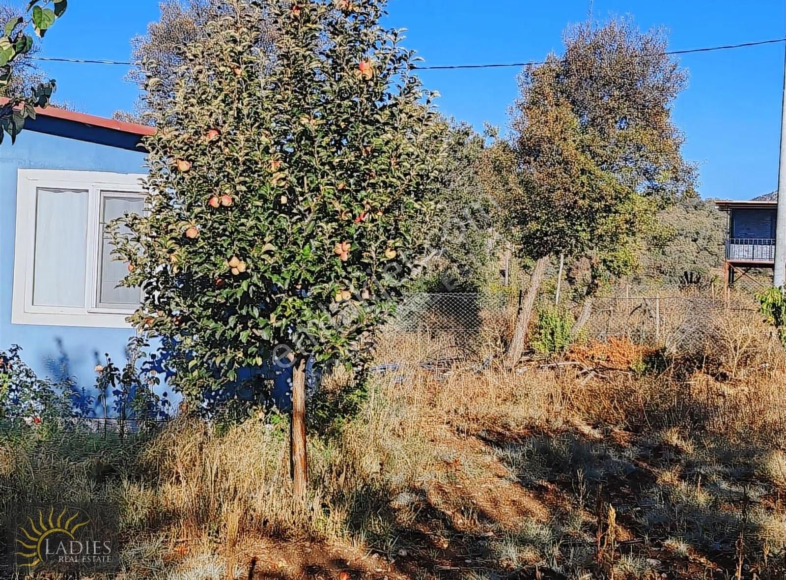 Ladiesden Seydikemerde İçinde Ev Olan Satılık 2 Parsel Tarla - Görsel 12