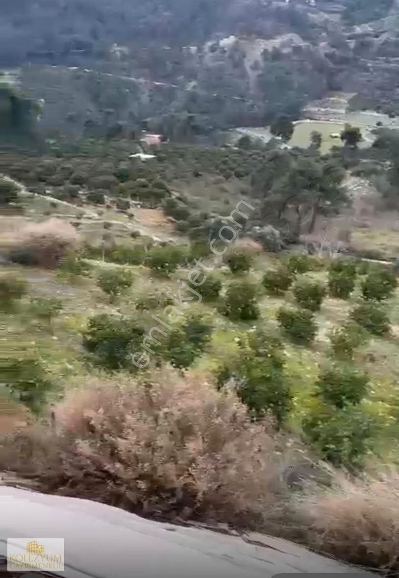 Kolezyum'dan Yenişehir Çukurkeşlik Te Satılık Limon Bahçesi - Görsel 2