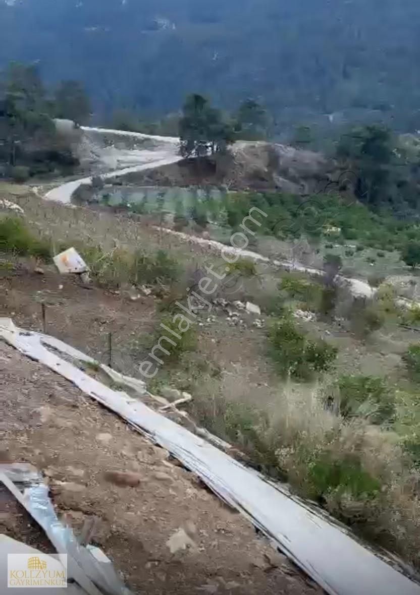 Kolezyum'dan Yenişehir Çukurkeşlik Te Satılık Limon Bahçesi - Görsel 6