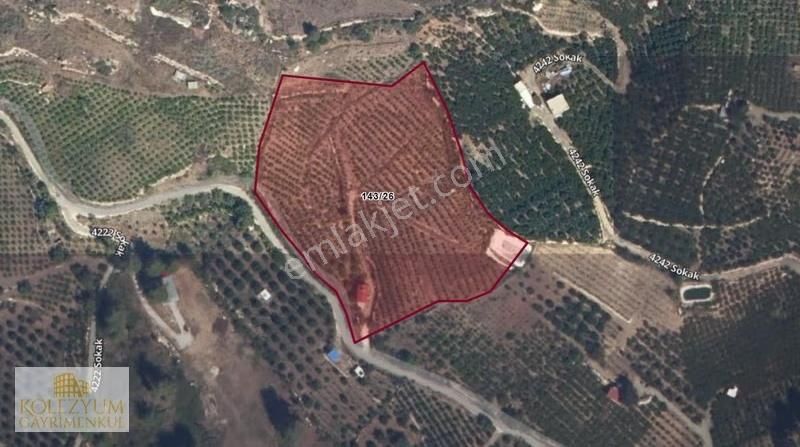 Kolezyum'dan Yenişehir Çukurkeşlik Te Satılık Limon Bahçesi