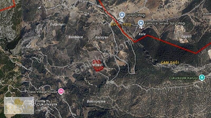 Kolezyum'dan Yenişehir Çukurkeşlik Te Satılık Limon Bahçesi - Görsel 3