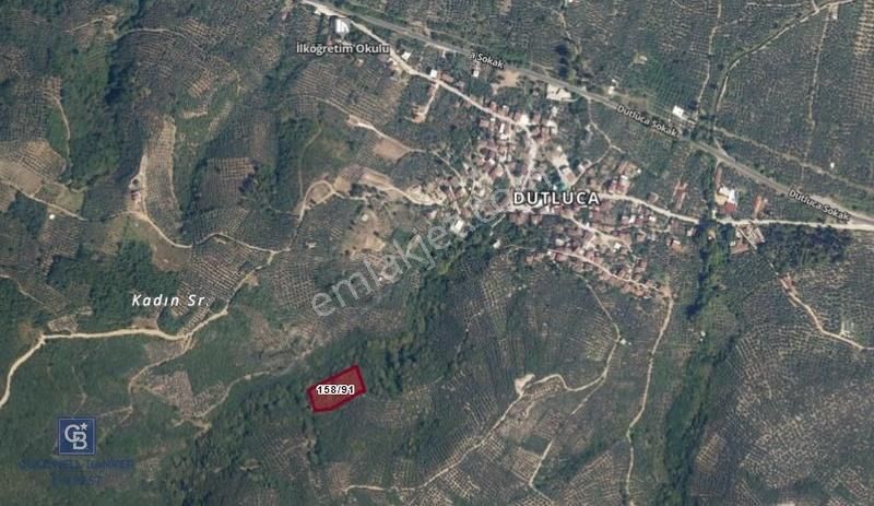 Orhangazi Dutluca'da 4.182 M2 Satılık Yatırımlık Fırsat Arazi - Görsel 2