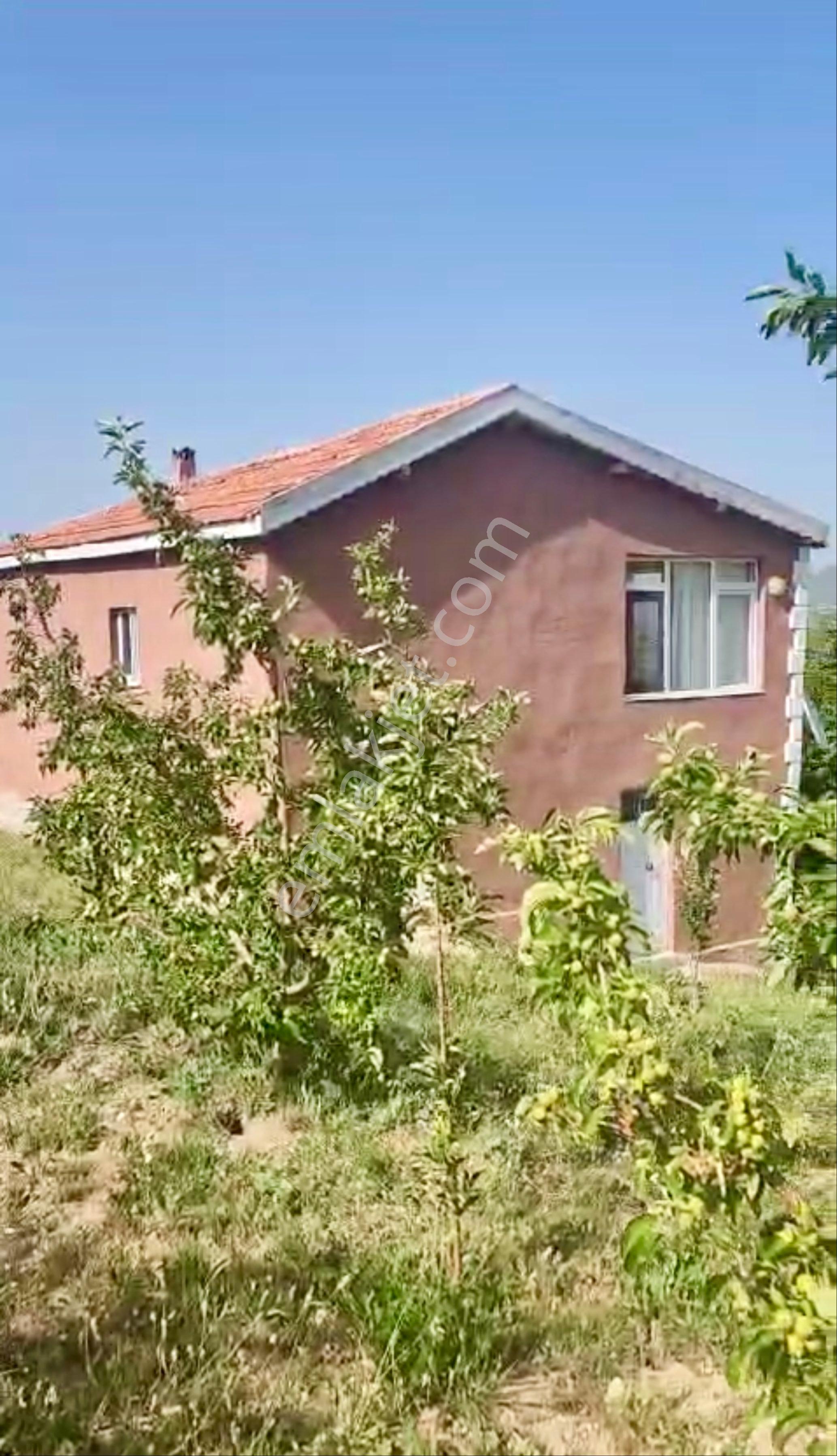 Avcular Emlak Dan Satılık Elma Bahçesi Isparta Gelendost - Görsel 7