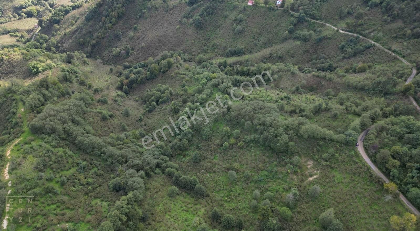 Century21'den Perşembe Çaytepe'de Fındık Bahçesi - Görsel 7