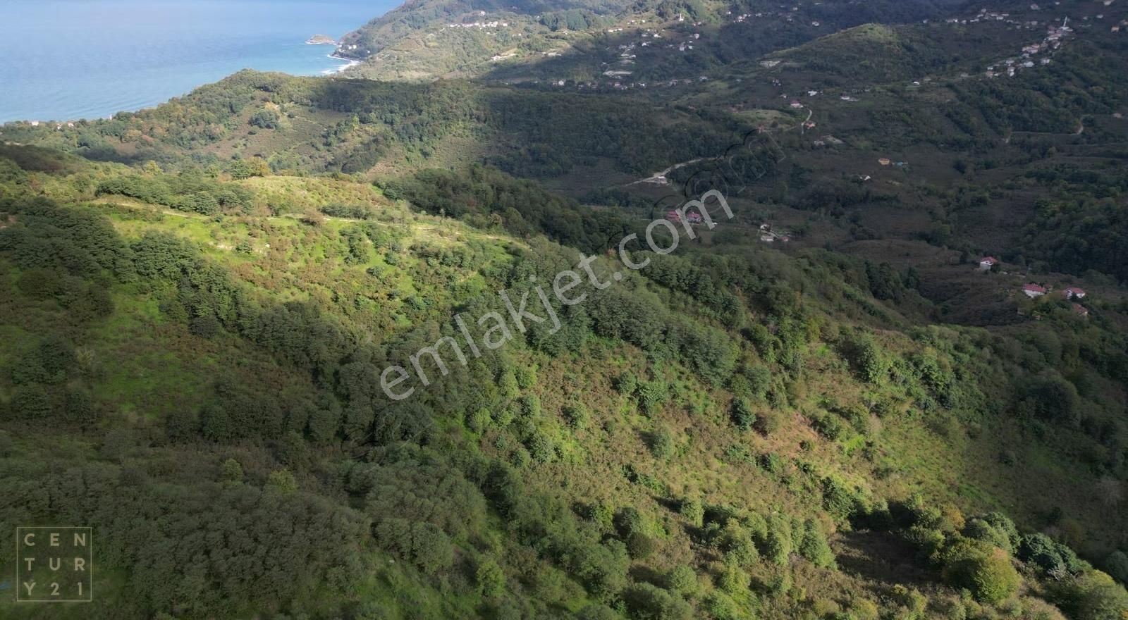 Century21'den Perşembe Çaytepe'de Fındık Bahçesi - Görsel 9