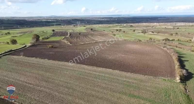 Çanakkale Biga Koruoba Köyünde Deniz Manzaralı Tarla - Görsel 4