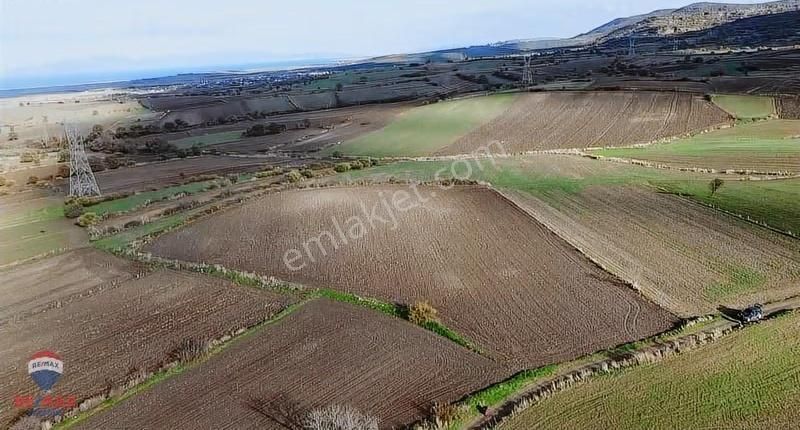 Çanakkale Biga Koruoba Köyünde Deniz Manzaralı Tarla - Görsel 9