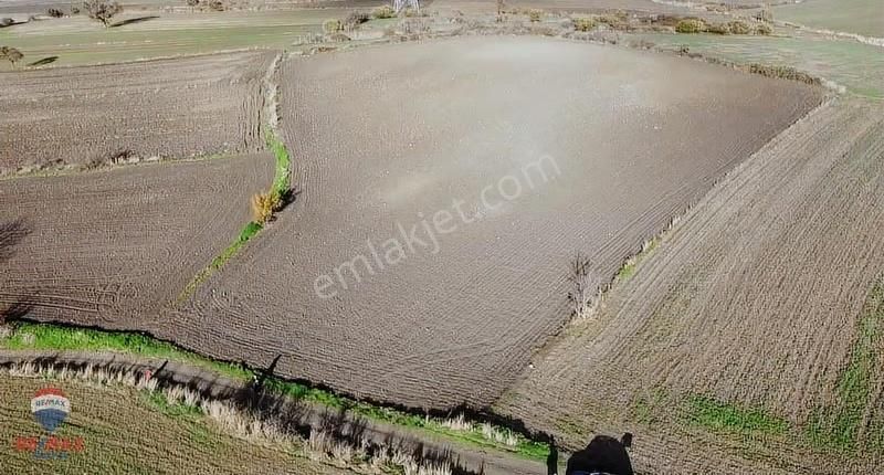 Çanakkale Biga Koruoba Köyünde Deniz Manzaralı Tarla - Görsel 17