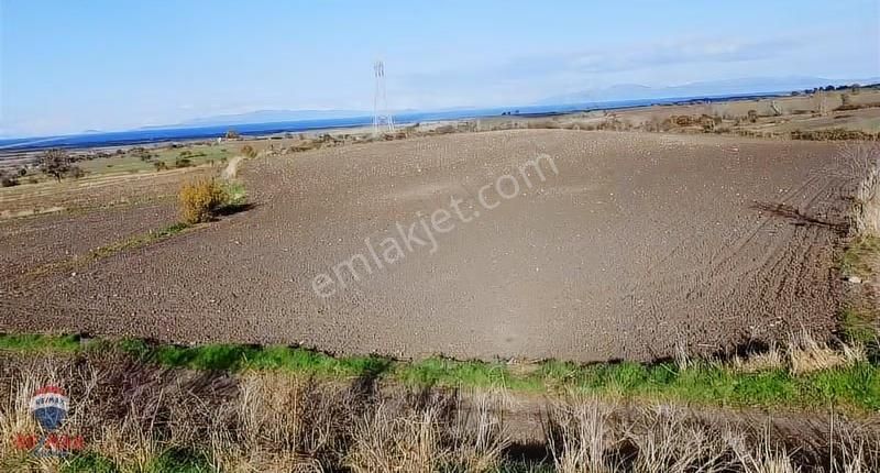 Çanakkale Biga Koruoba Köyünde Deniz Manzaralı Tarla - Görsel 3