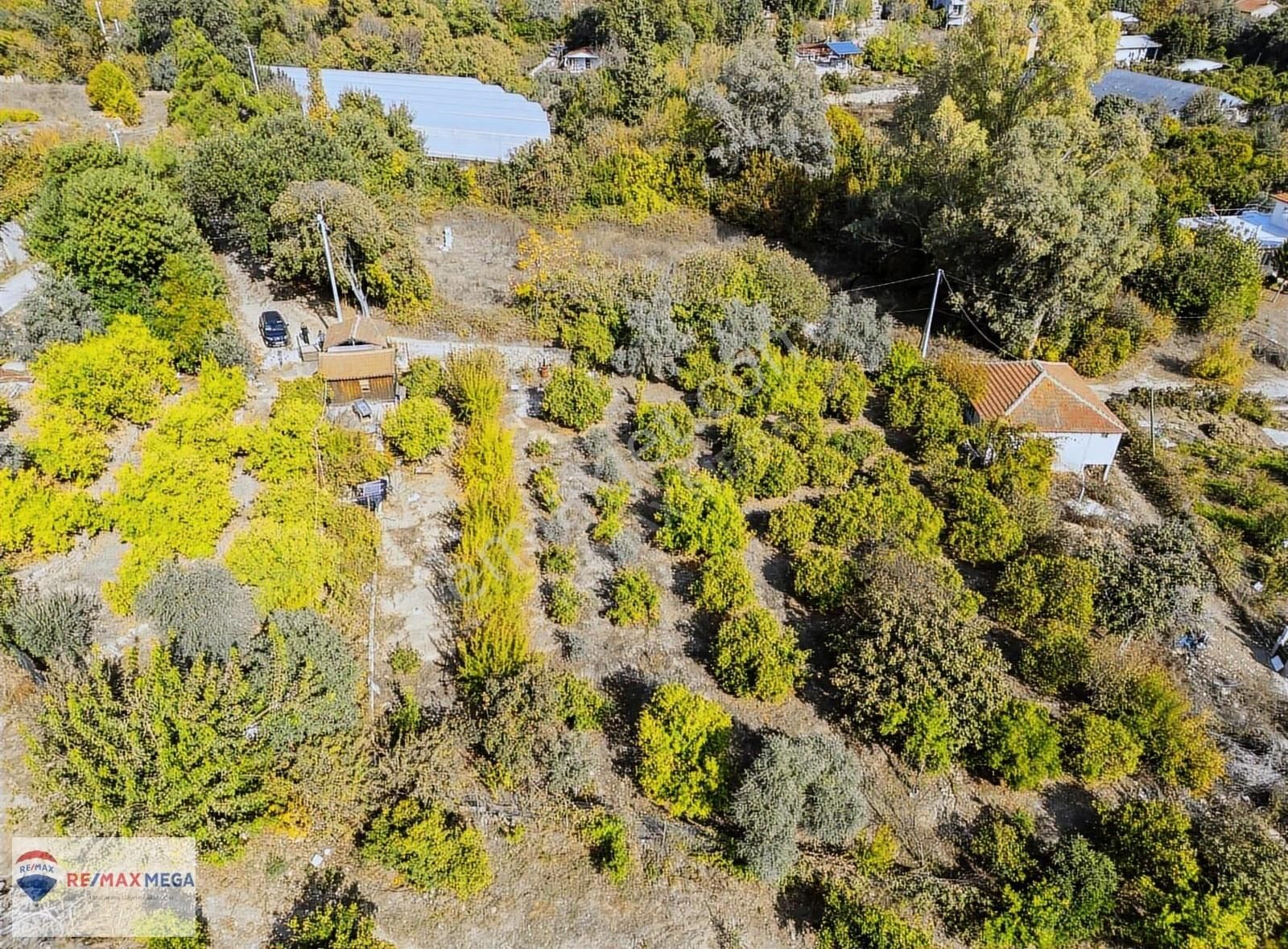 Gökçamda 1853 M2 Narenciye Bahçesi - Görsel 18