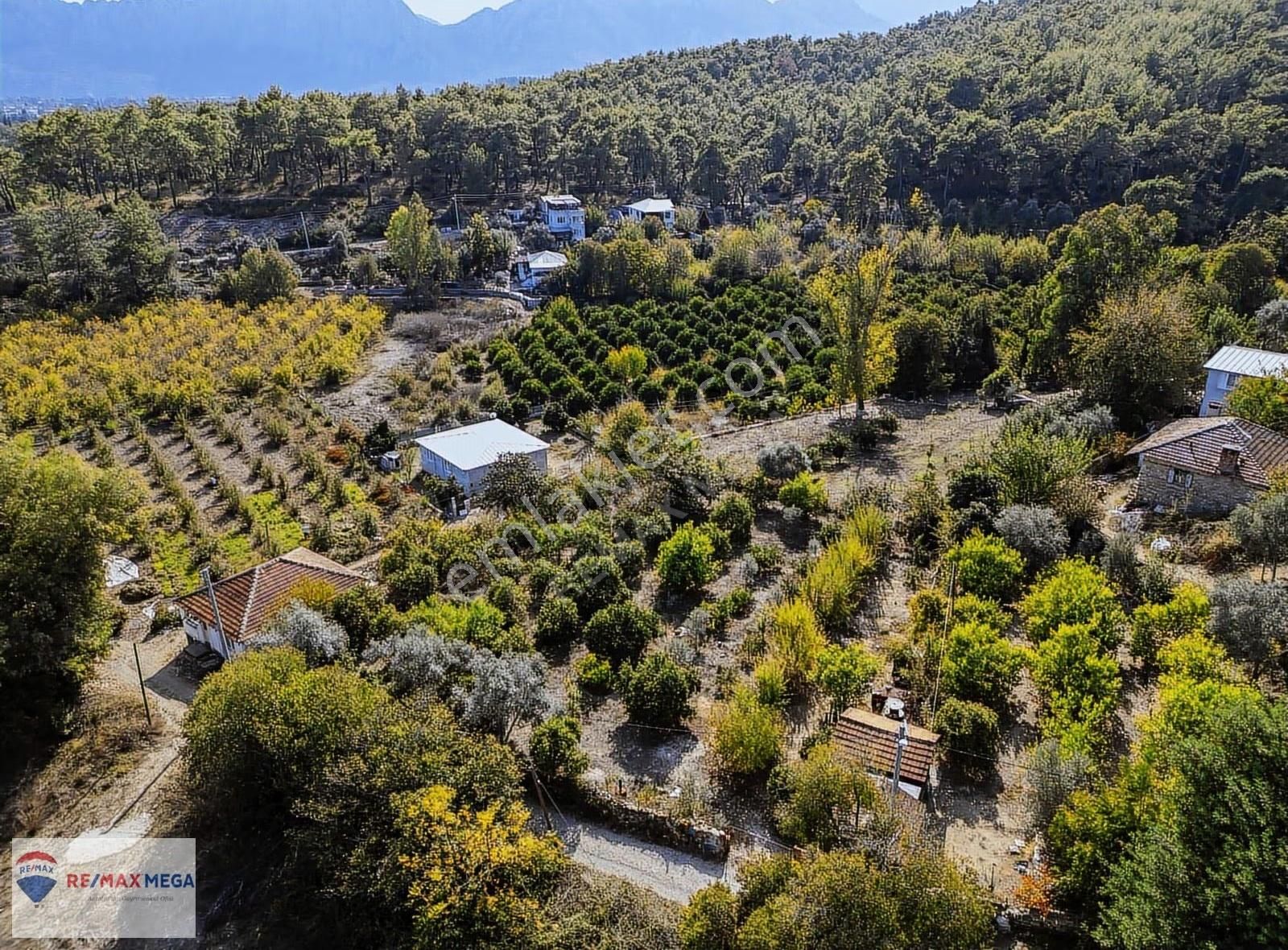 Gökçamda 1853 M2 Narenciye Bahçesi - Görsel 14