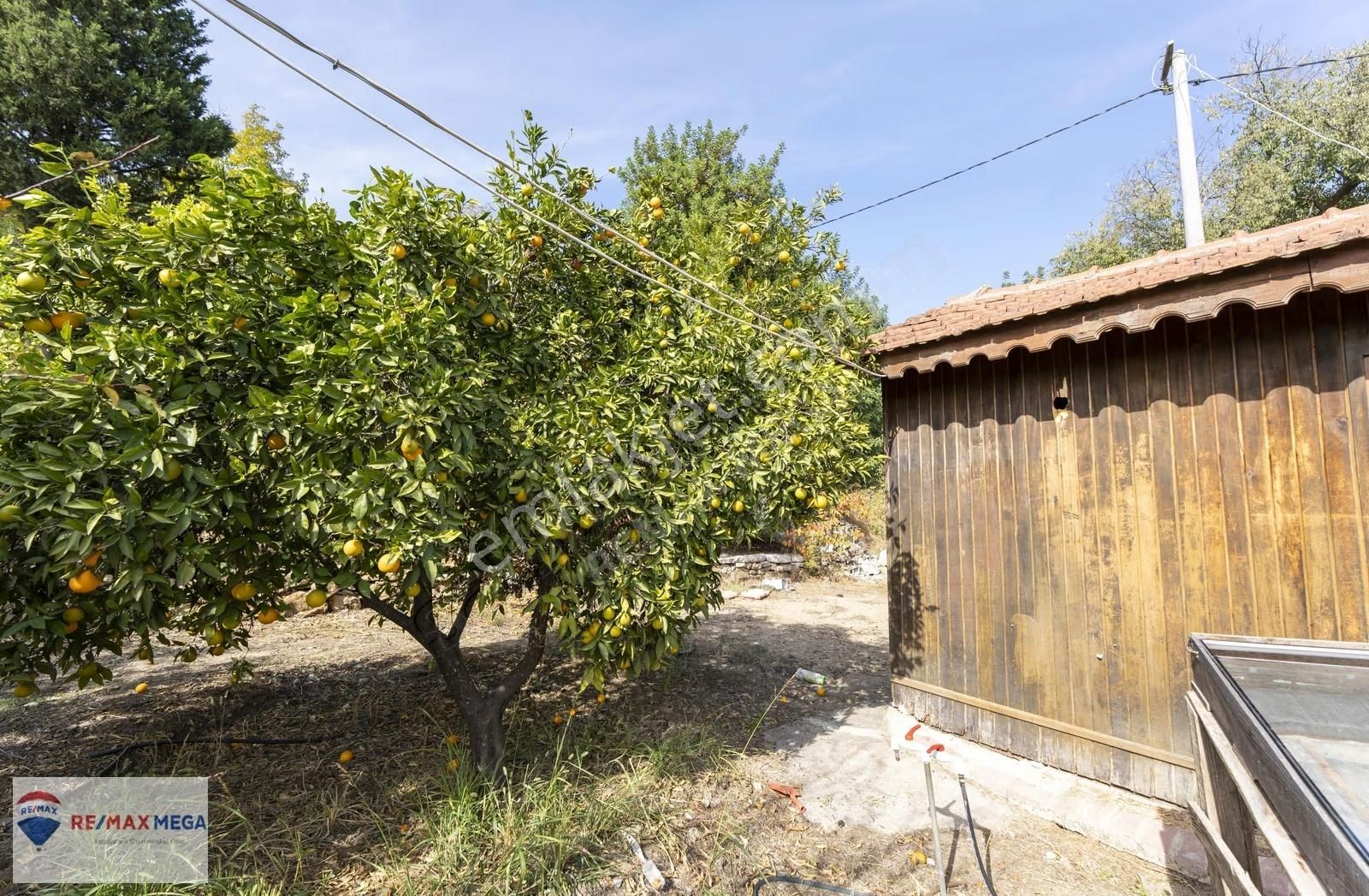 Gökçamda 1853 M2 Narenciye Bahçesi - Görsel 12