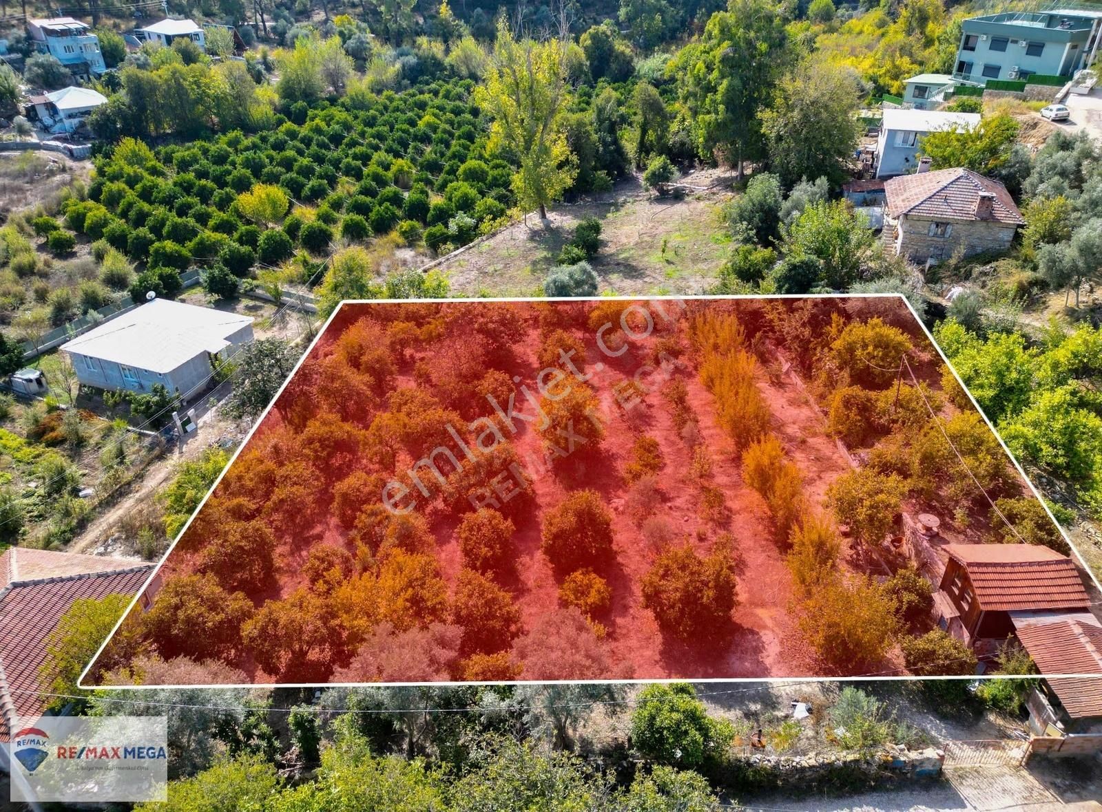 Gökçamda 1853 M2 Narenciye Bahçesi - Görsel 17