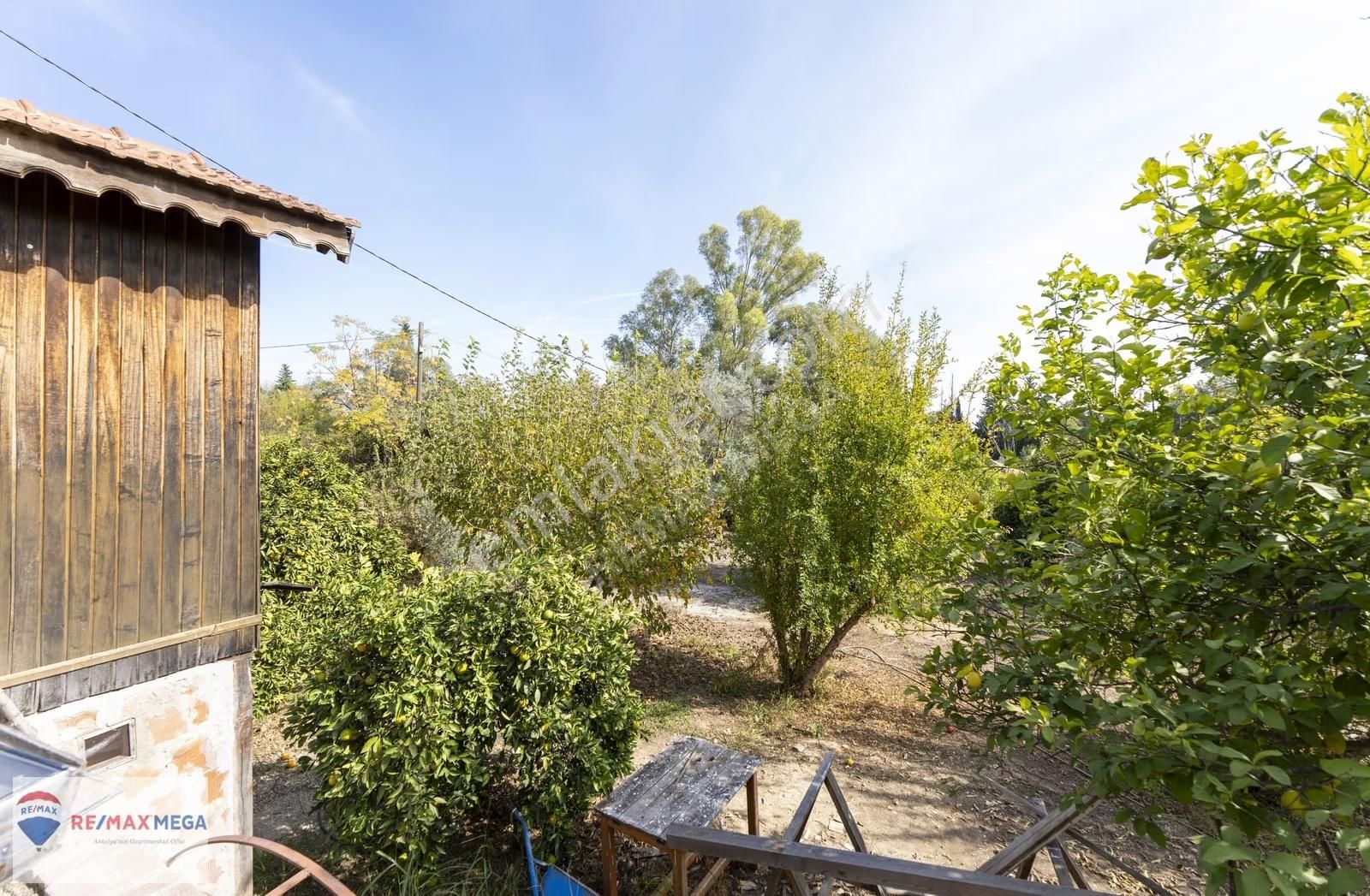 Gökçamda 1853 M2 Narenciye Bahçesi - Görsel 19