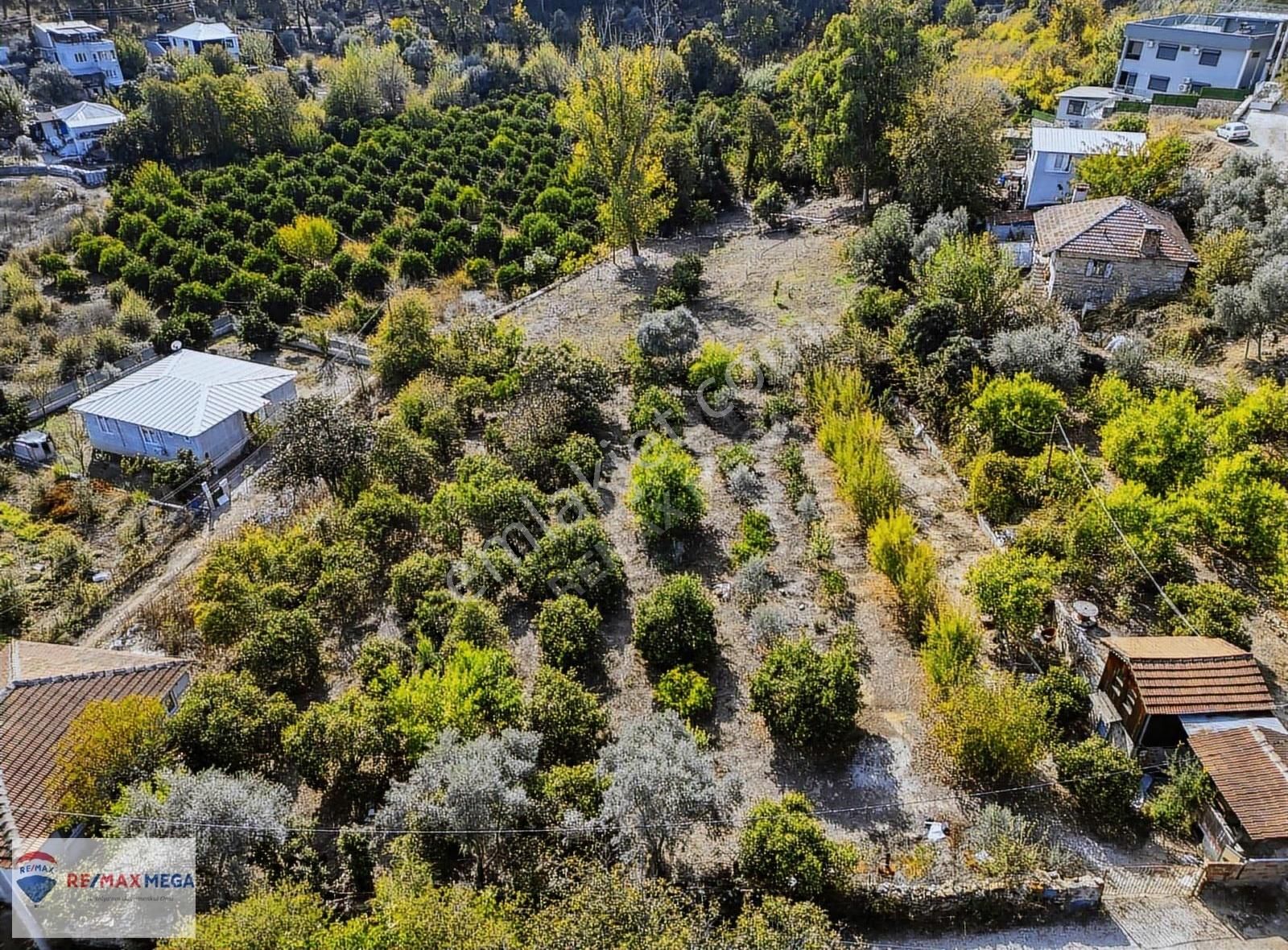 Gökçamda 1853 M2 Narenciye Bahçesi - Görsel 9