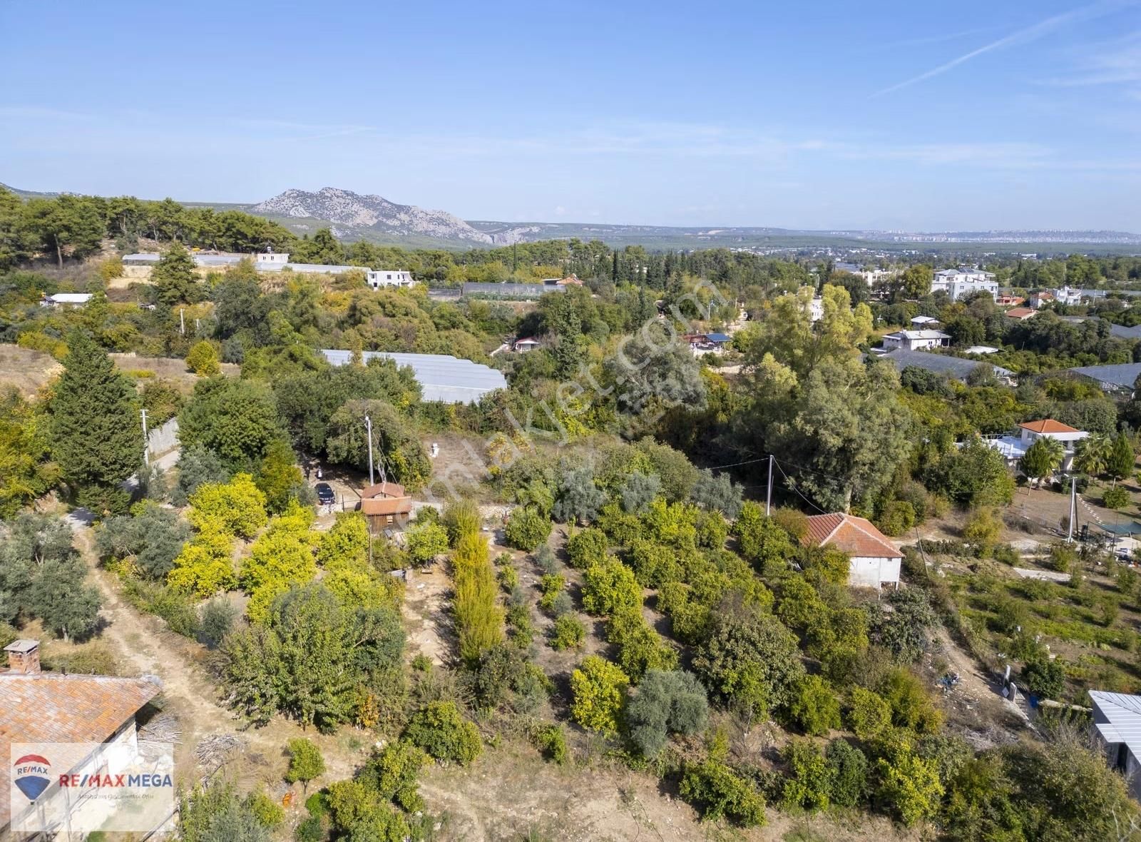 Gökçamda 1853 M2 Narenciye Bahçesi - Görsel 11