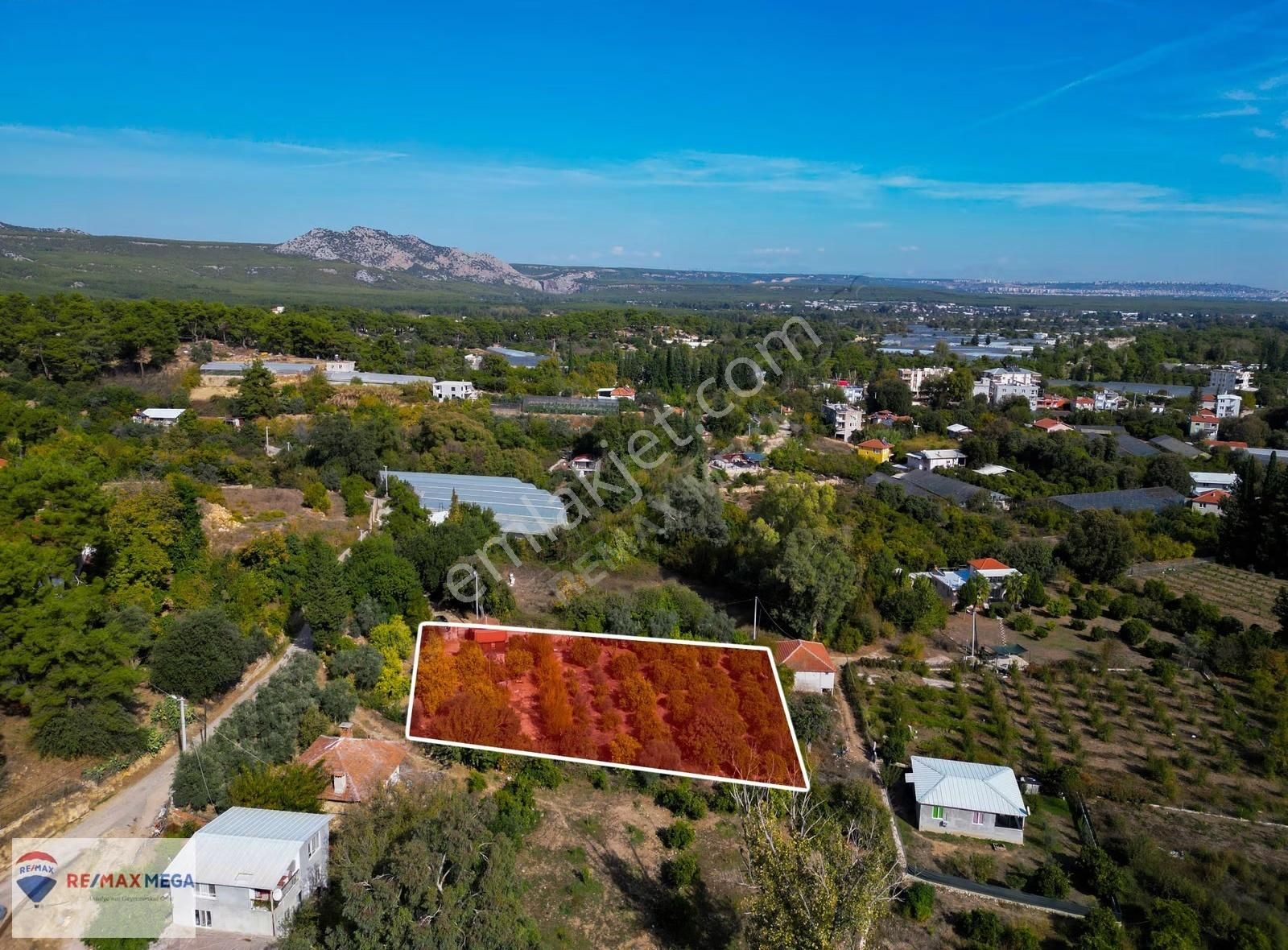 Gökçamda 1853 M2 Narenciye Bahçesi - Görsel 6