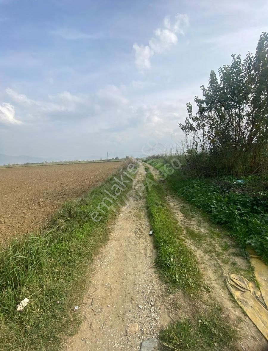 Turpa 360 Dan En Verimli Yerde Satılık Arazi - Görsel 3