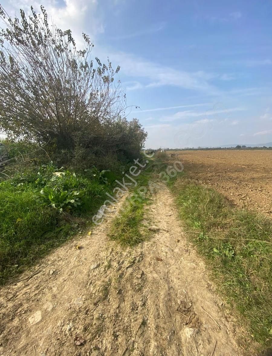 Turpa 360 Dan En Verimli Yerde Satılık Arazi - Görsel 4