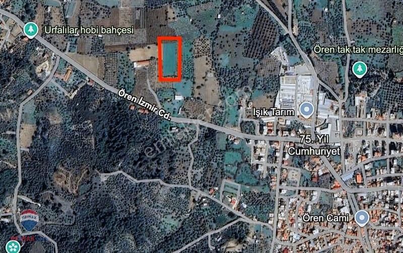 28 İzmir Kemalpaşa 75. Yıl Ören Mh. 6046 M2 Bağ Tarla - Görsel 3