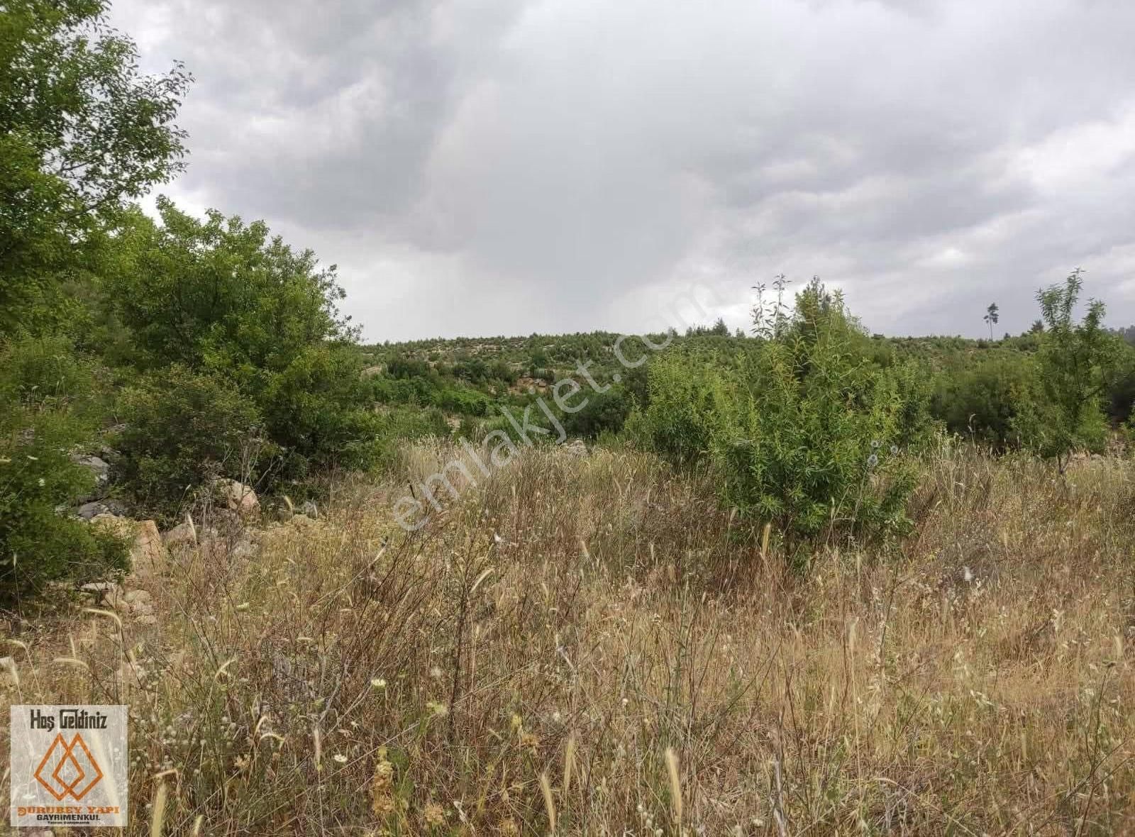 Yatırımlık Yıllık 1.500 Kilo Mahsül Veren Badem Bahçeleri - Görsel 7