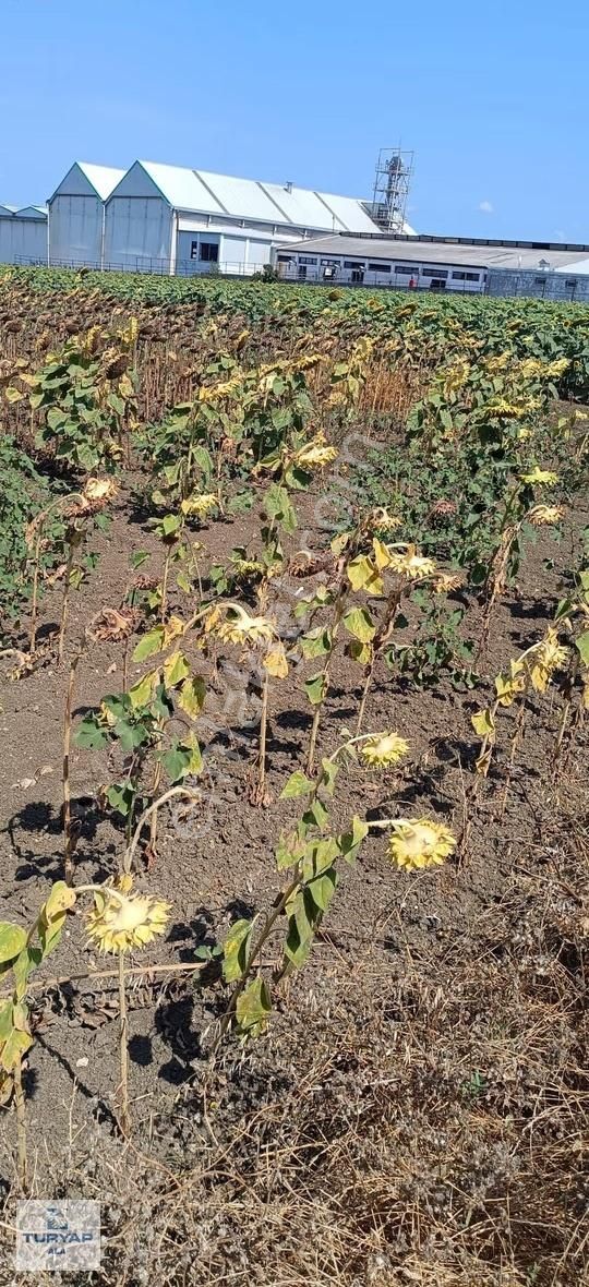 Silivri Kadıköy Mahallesinde 750 M² Satılık Tarla - Görsel 5