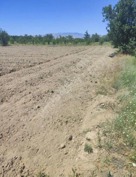 Akçay Emlak'tan Sultandağı Yakasenek Mahallesinde Kooperatif Suyu Bulunan Satılık Tarla - Görsel 10