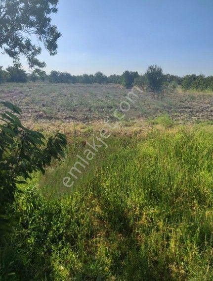 Akçay Emlak'tan Sultandağı Yakasenek Mahallesinde Kooperatif Suyu Bulunan Satılık Tarla - Görsel 4