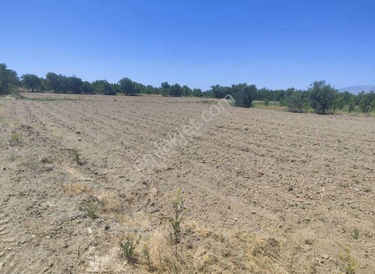 Akçay Emlak'tan Sultandağı Yakasenek Mahallesinde Kooperatif Suyu Bulunan Satılık Tarla - Görsel 22