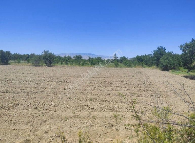 Akçay Emlak'tan Sultandağı Yakasenek Mahallesinde Kooperatif Suyu Bulunan Satılık Tarla - Görsel 20