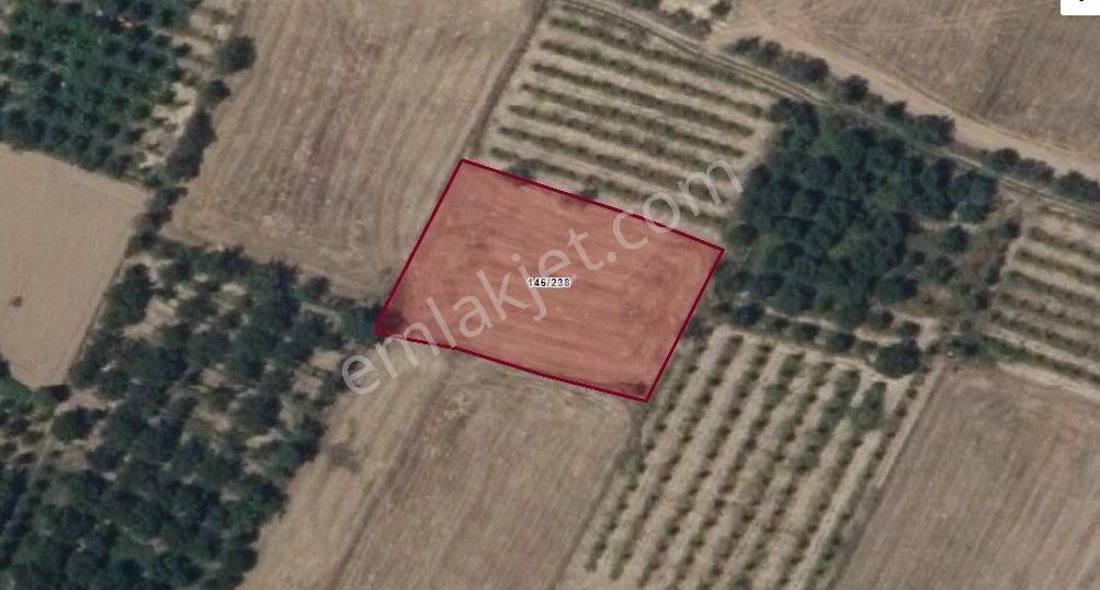 Akçay Emlak'tan Sultandağı Yakasenek Mahallesinde Kooperatif Suyu Bulunan Satılık Tarla - Görsel 3