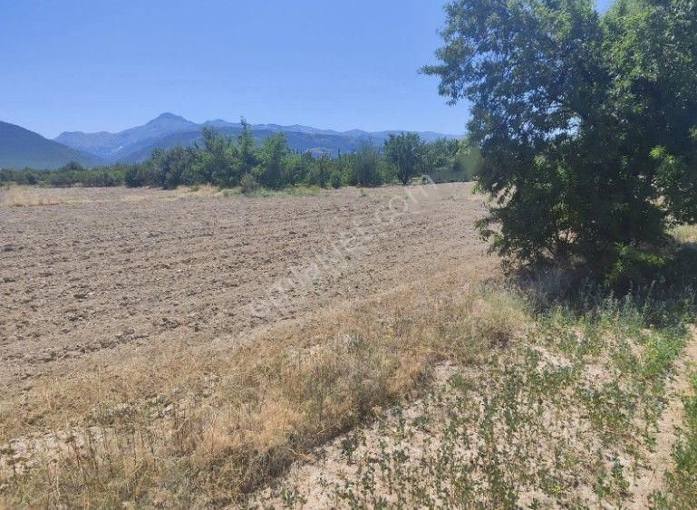 Akçay Emlak'tan Sultandağı Yakasenek Mahallesinde Kooperatif Suyu Bulunan Satılık Tarla - Görsel 12