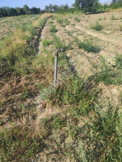 Akçay Emlak'tan Sultandağı Yakasenek Mahallesinde Kooperatif Suyu Bulunan Satılık Tarla - Görsel 28