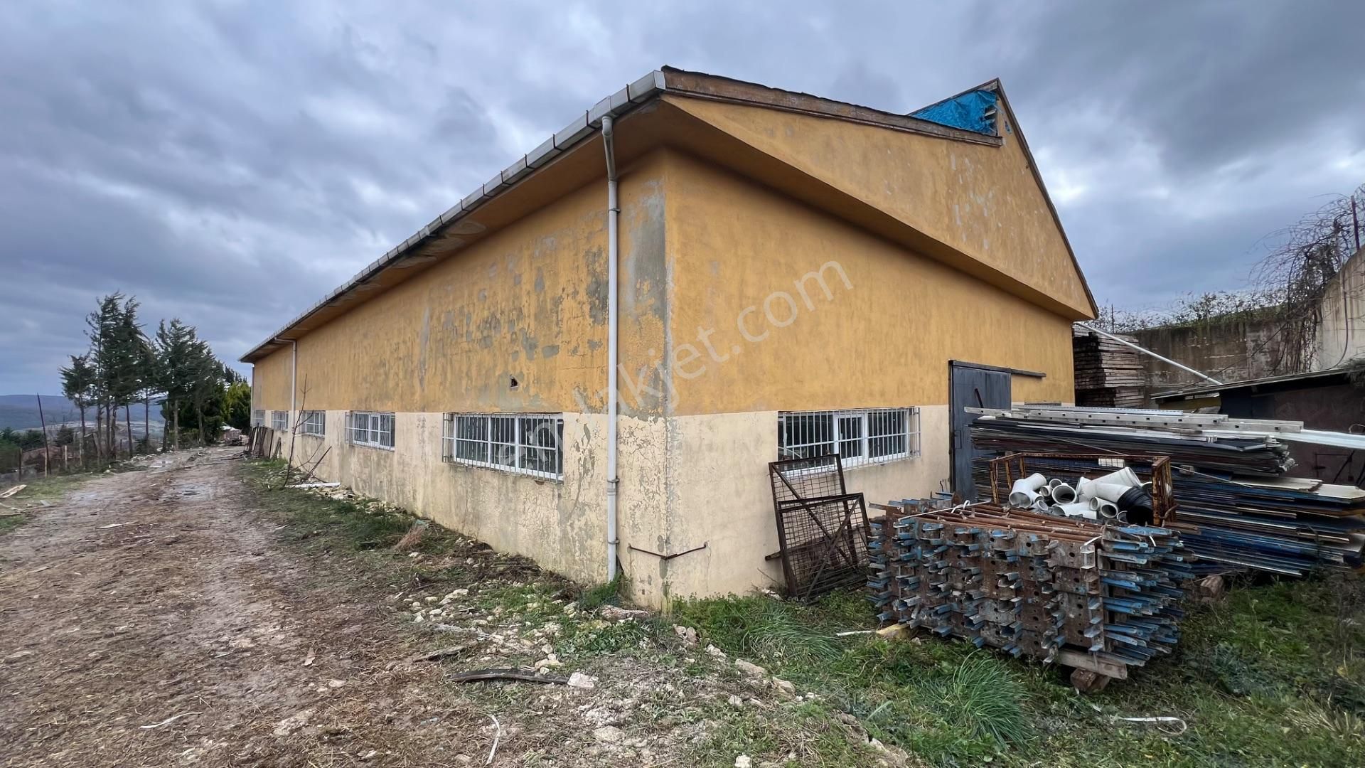 Gebze Hatiplerde Satılık Arazi Çiftlik - Görsel 13
