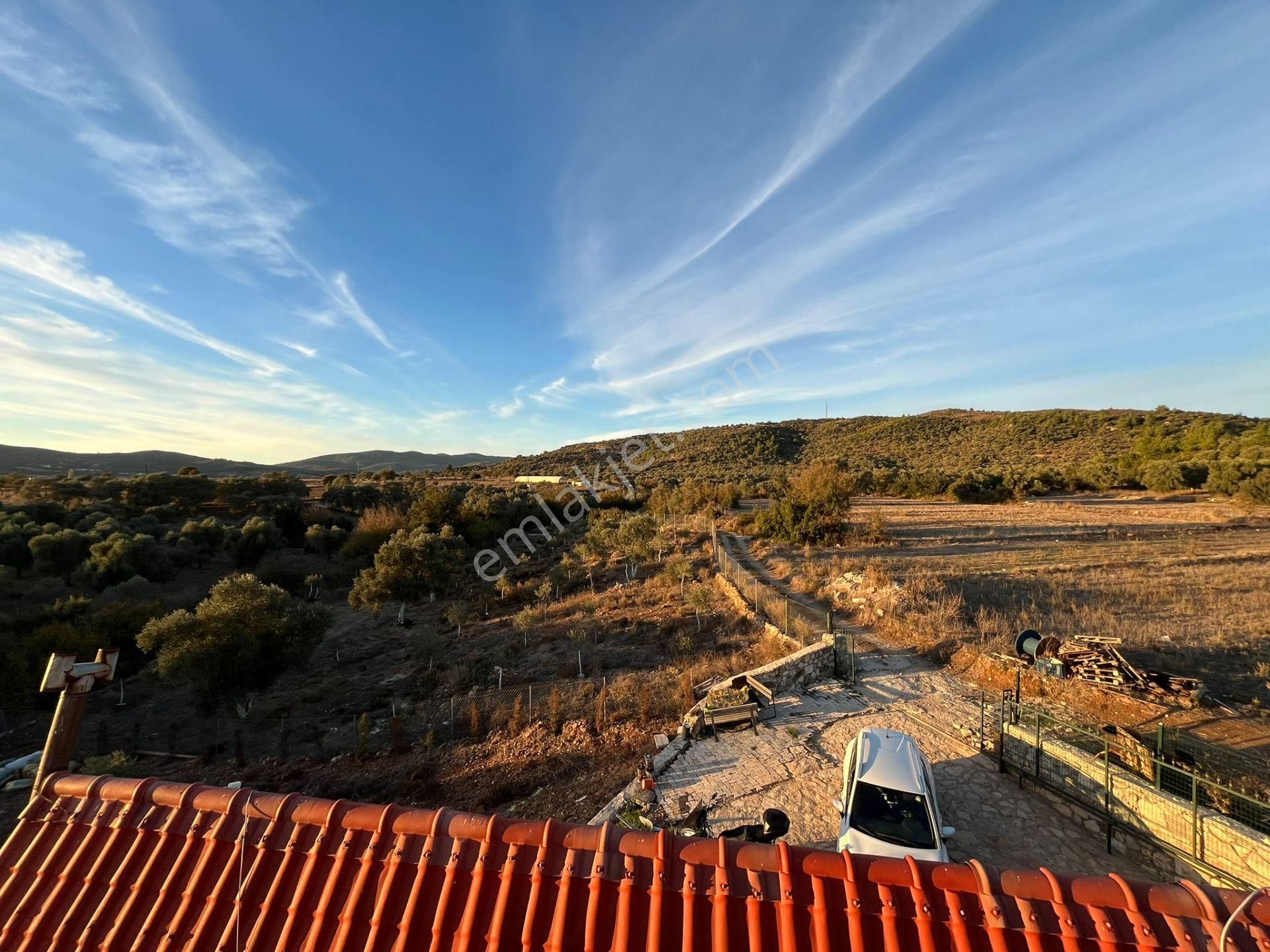 Muğla Milas Kuzyakada 1300 M² Arsada Tam Müstakil Lüks Dubleks - Görsel 8