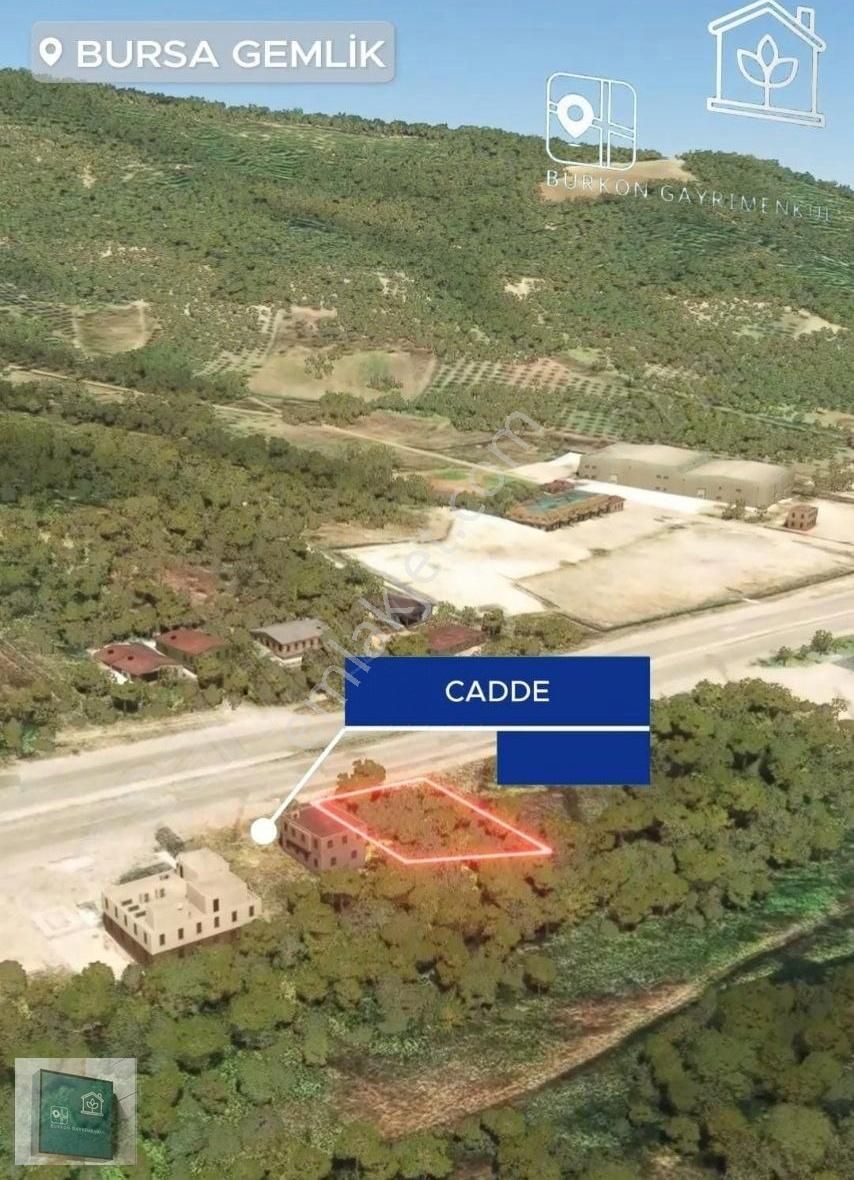 Bursa Gemlik Kurtulda Emsalsiz Fırsat Arazi - Görsel 2