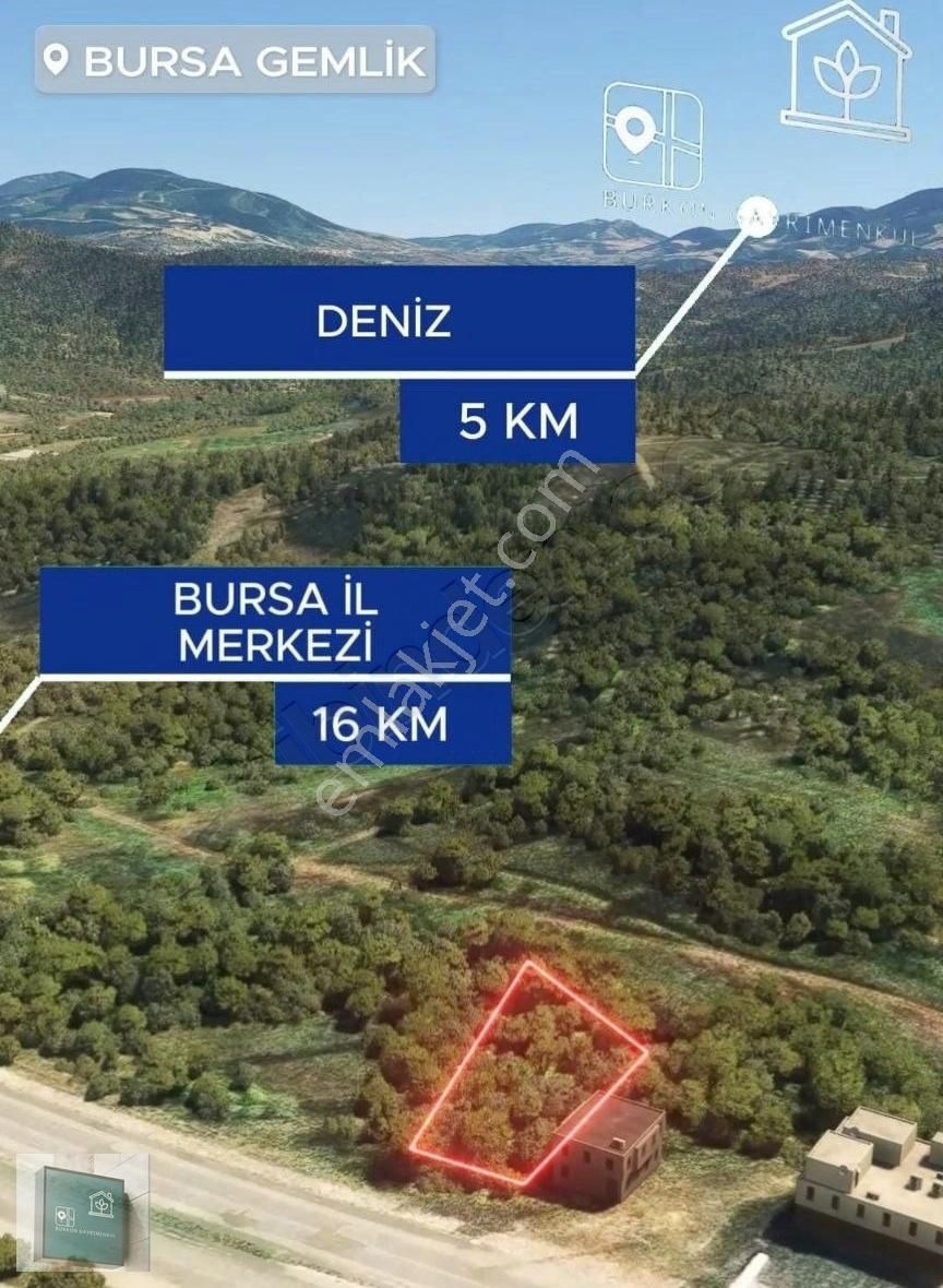 Bursa Gemlik Kurtulda Emsalsiz Fırsat Arazi - Görsel 4