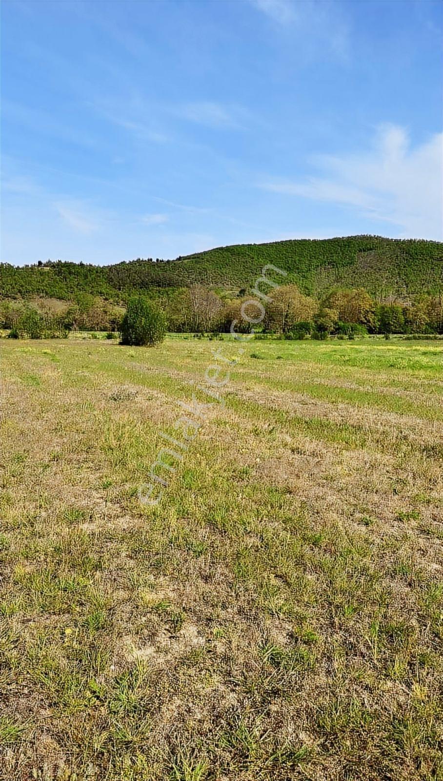 Bursa Yenişehir Burcunda Satılık Tarla - Görsel 10