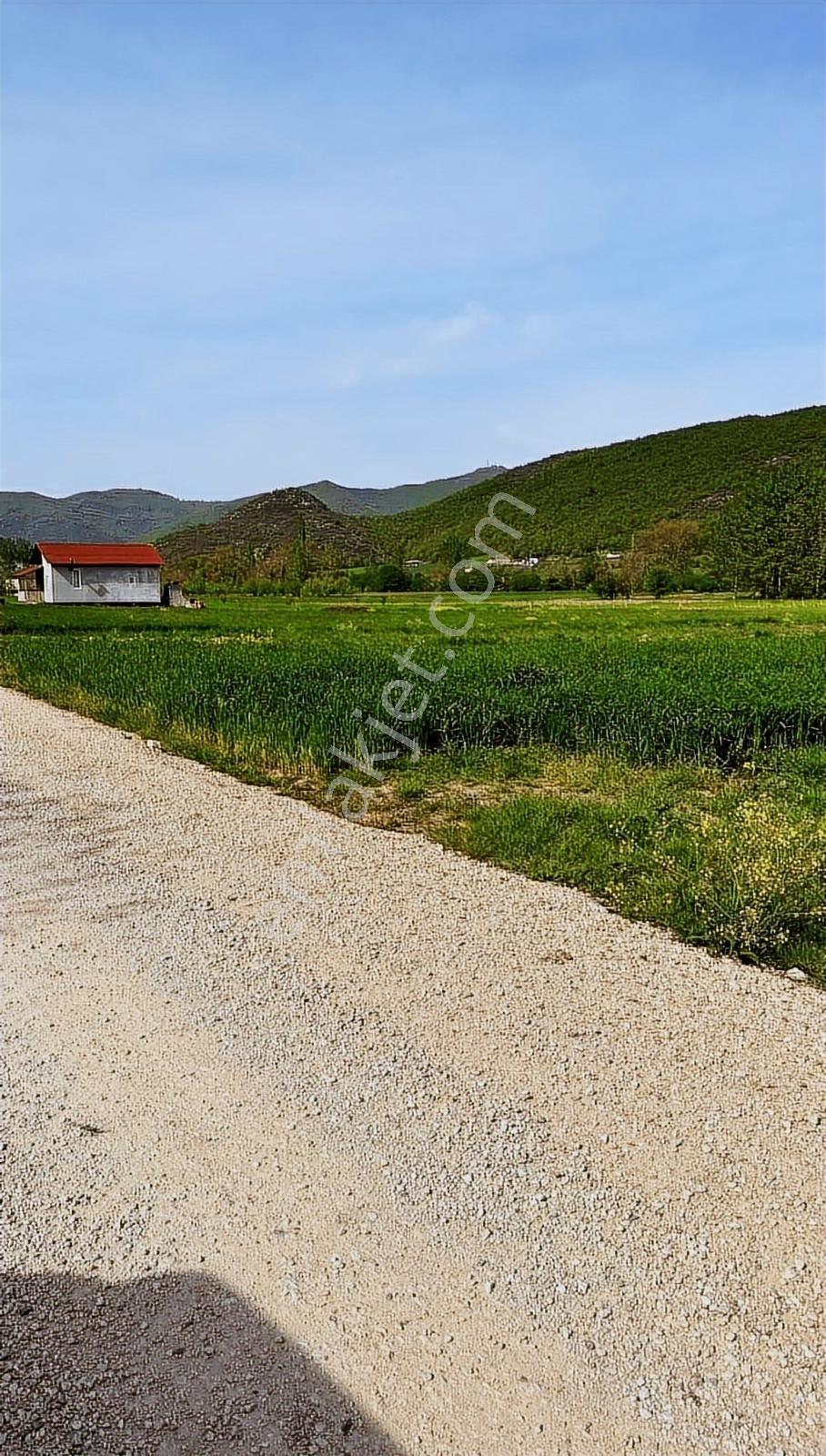 Bursa Yenişehir Burcunda Satılık Tarla - Görsel 11