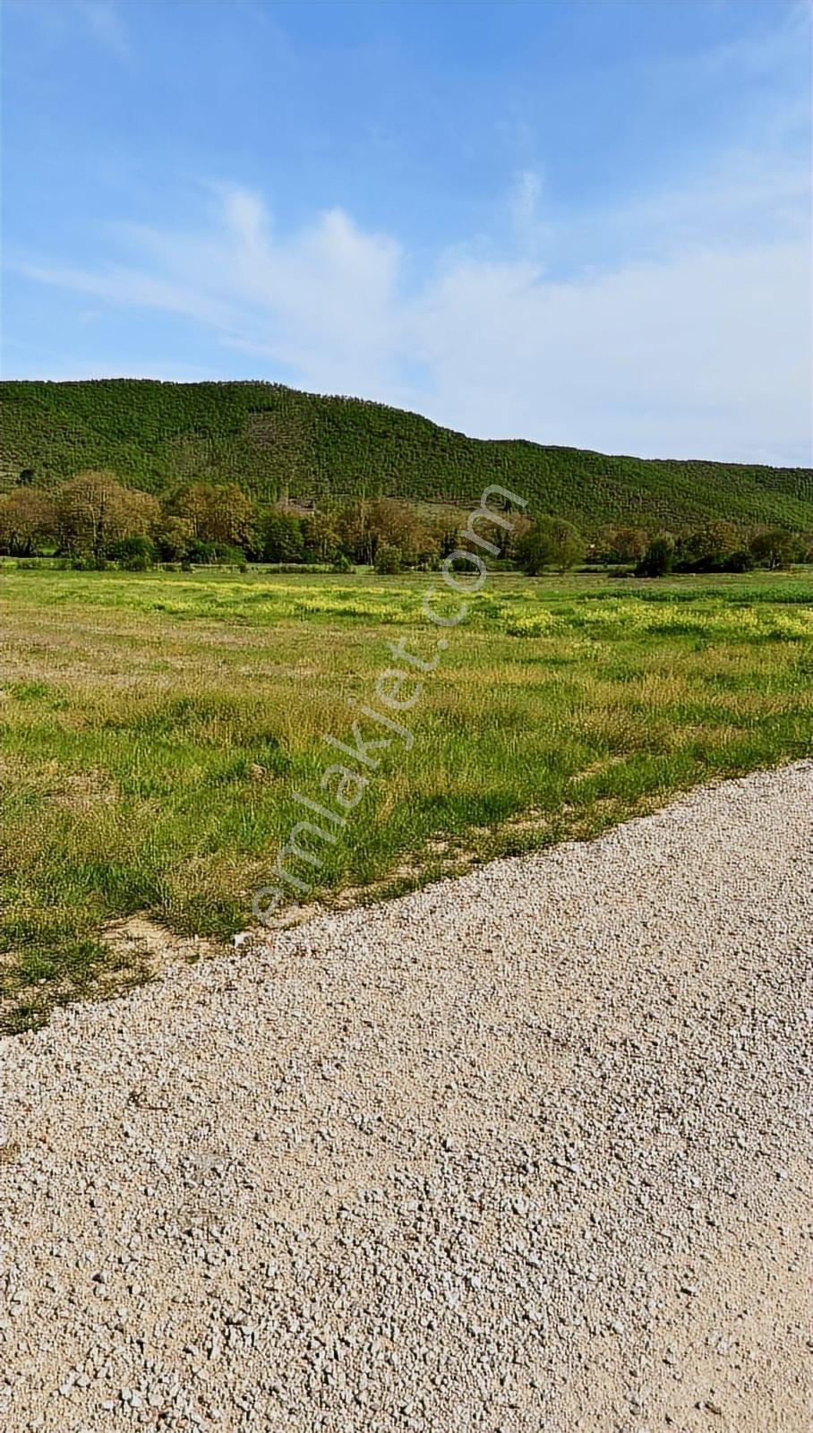 Bursa Yenişehir Burcunda Satılık Tarla - Görsel 7