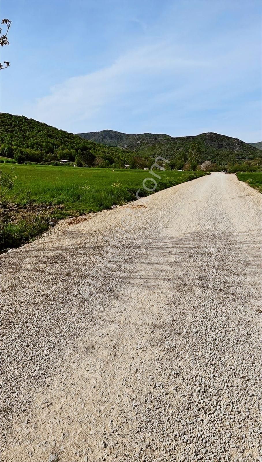 Bursa Yenişehir Burcunda Satılık Tarla - Görsel 2