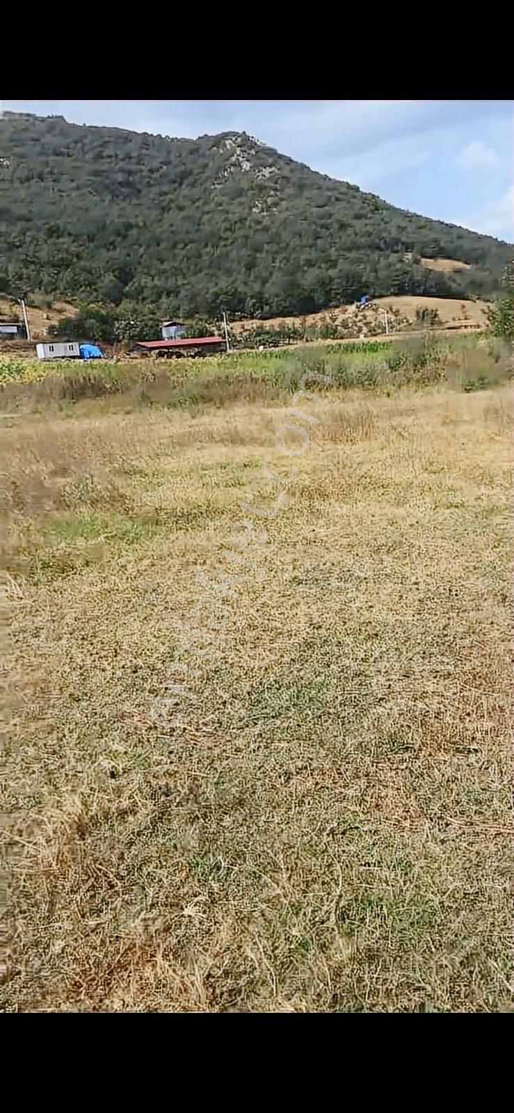Bursa Yenişehir Burcun Da Satılık Köy İçi Arazi - Görsel 14