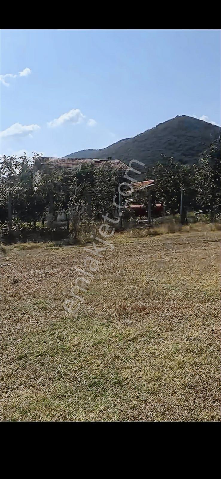 Bursa Yenişehir Burcun Da Satılık Köy İçi Arazi - Görsel 9