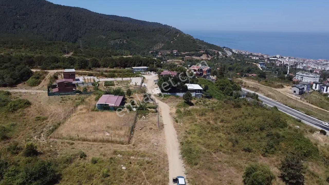 Yalova Çınarcık'ta Villa İmarlı Arazi - Görsel 23