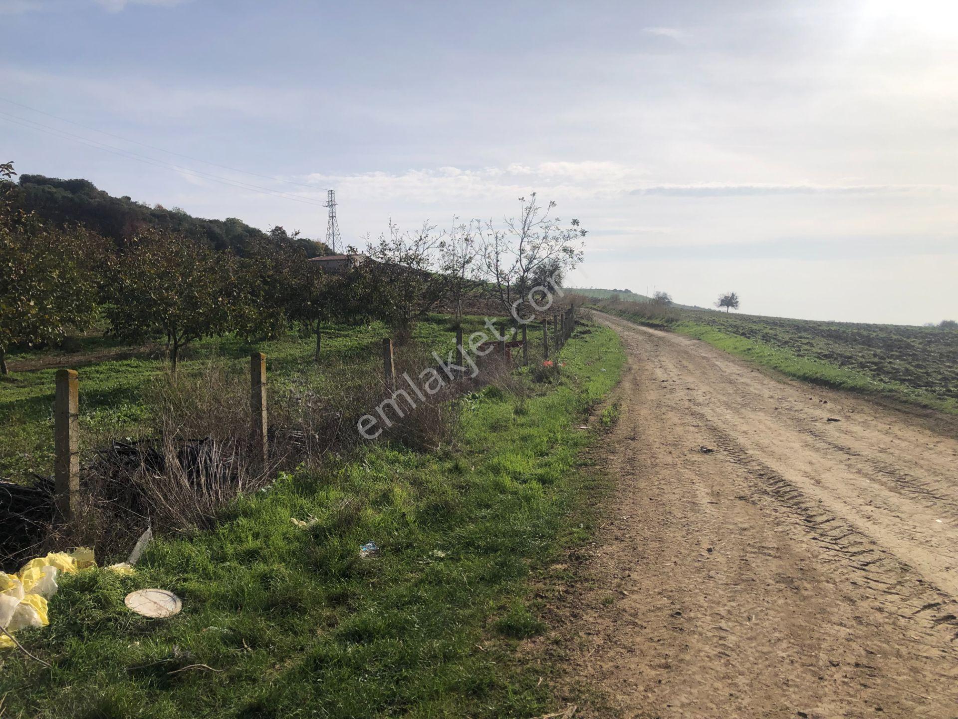 Şarköy De Işık Emlaktan İstiklal Mah De 14500 M2 Cevizlik - Görsel 25